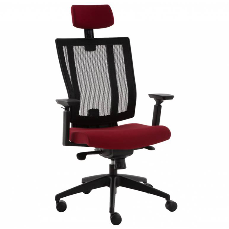 FLEX MESH MÜDÜR KOLTUĞU - Ofis mobilyası - Ofis mobilyaları