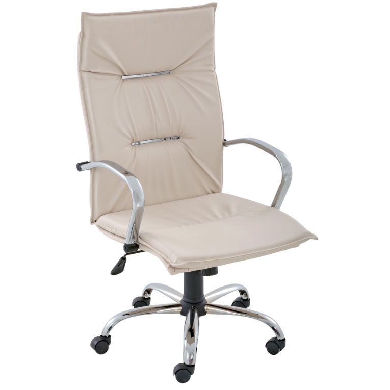 MİNİMONO MÜDÜR KROM - Ofis mobilyası - Ofis mobilyaları